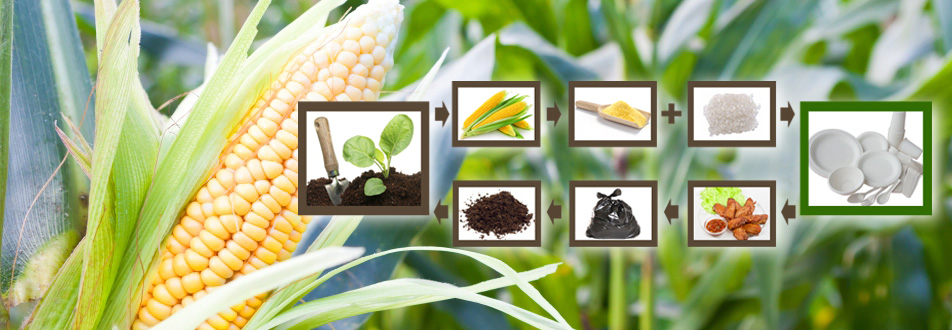 有人問我到底什么是全生物降解材料？