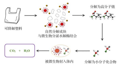 可降解塑料的降解機理：生物降解與光降解篇