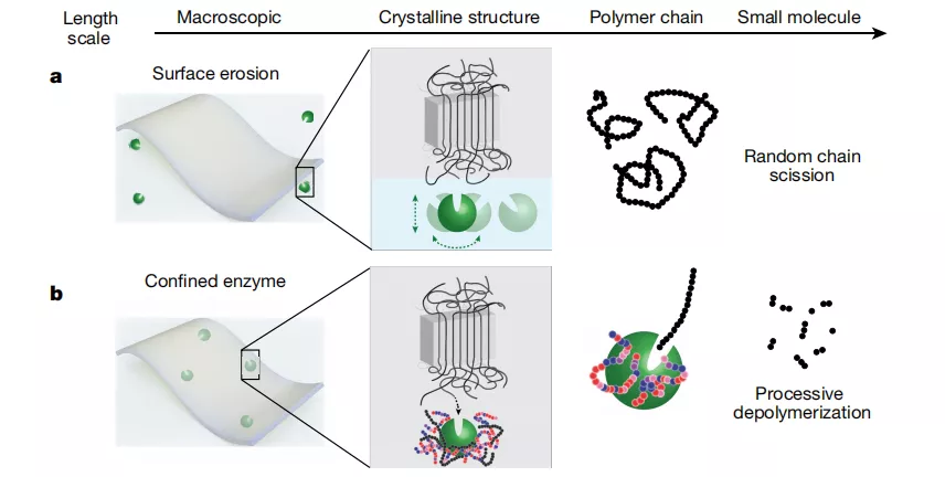 和塑美科技 和塑美科技