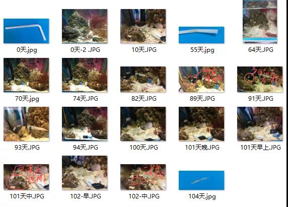 看塑料能不能降解，實踐觀察一下其實很簡單！