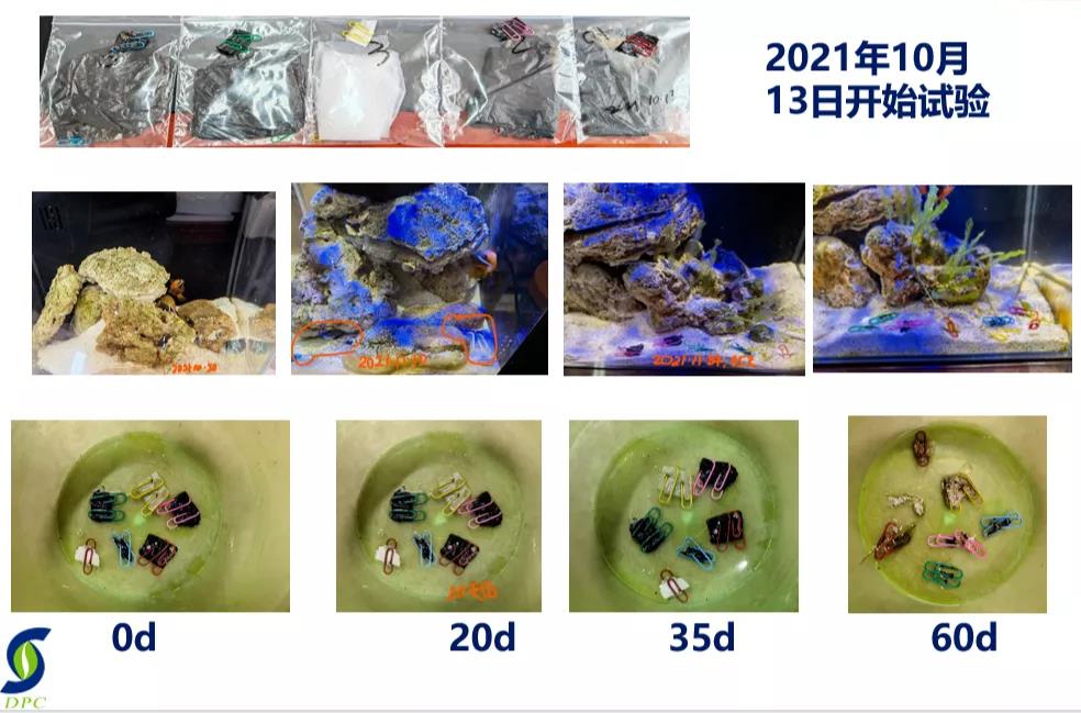 和塑美科技 和塑美科技