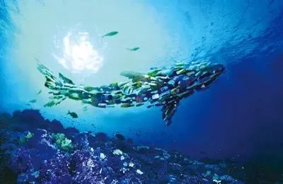 光明日?qǐng)?bào)：海水降解塑料研發(fā)，任重道遠(yuǎn)