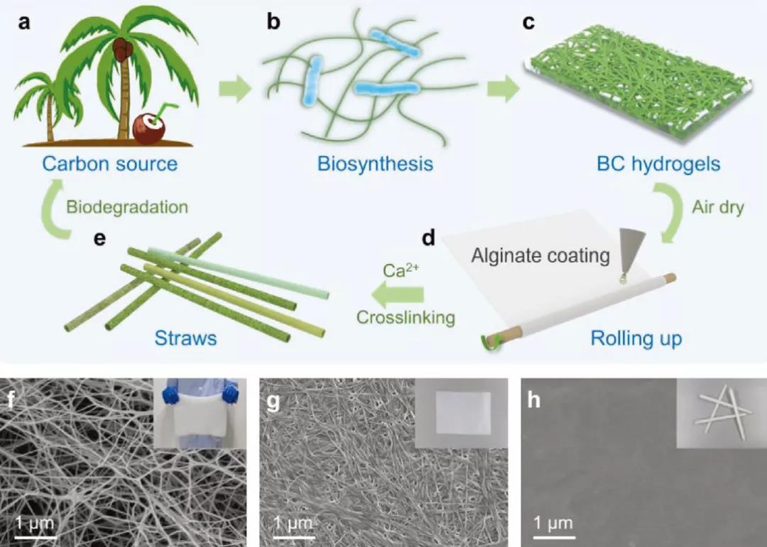 和塑美科技 和塑美科技