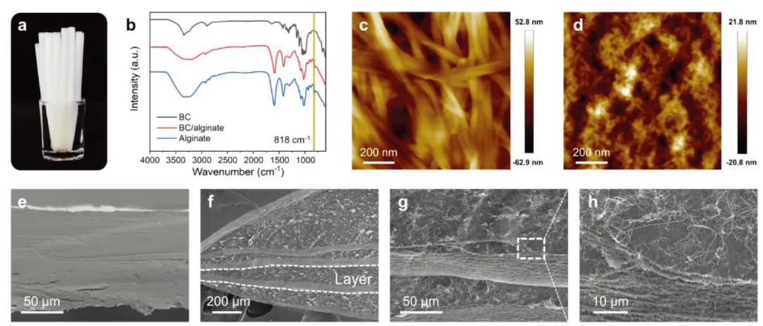 和塑美科技 和塑美科技