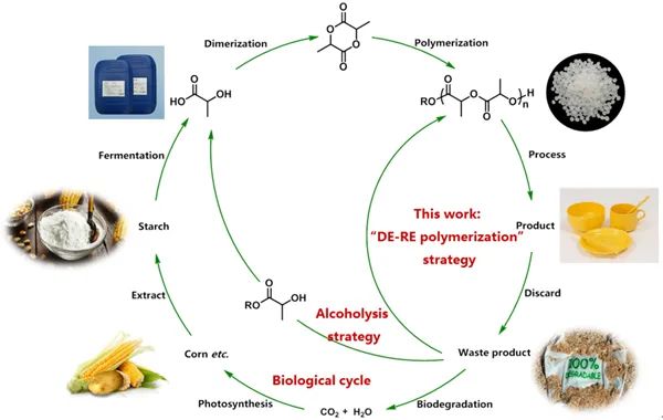 青島能源所重大突破：廢棄PLA→化學(xué)回收→新料PLA
