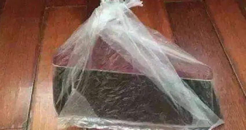 和塑美科技 和塑美科技