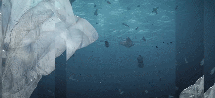 和塑美科技 和塑美科技