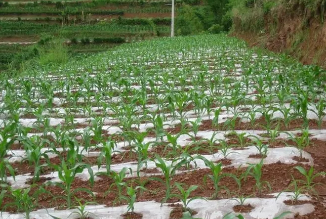 和塑美科技 和塑美科技