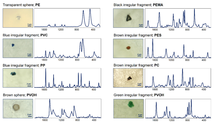 和塑美科技 和塑美科技