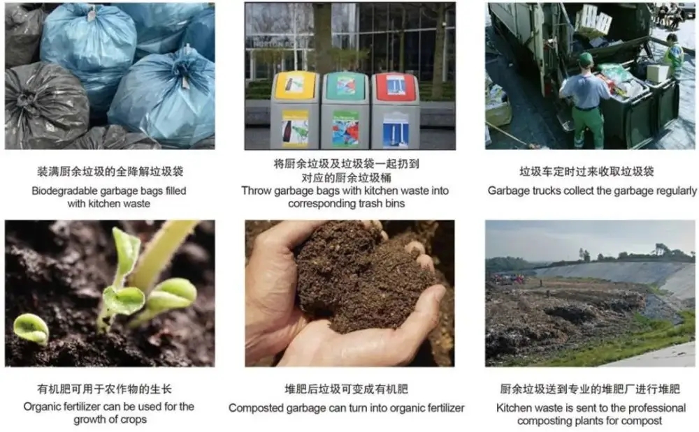 歐盟將修訂包裝指令，生物降解堆肥塑料有新變化！