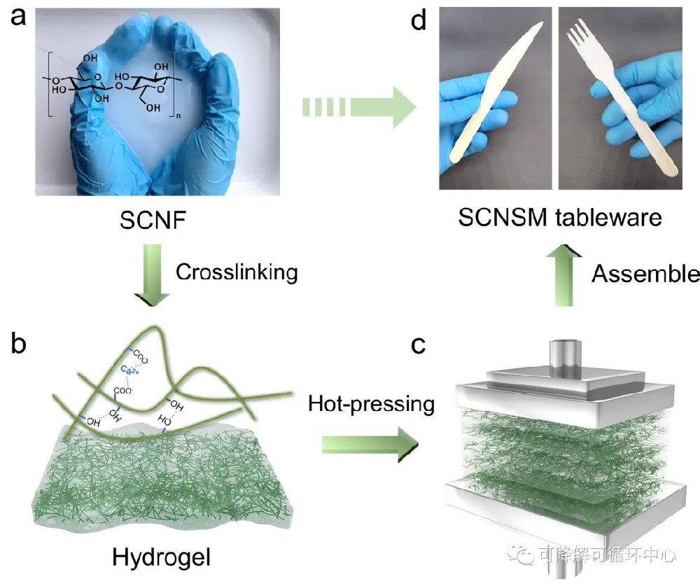 中科大俞書(shū)宏院士團(tuán)隊(duì)：可生物降解餐具新選擇！