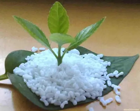 1670920051820456.jpg 和塑美科技