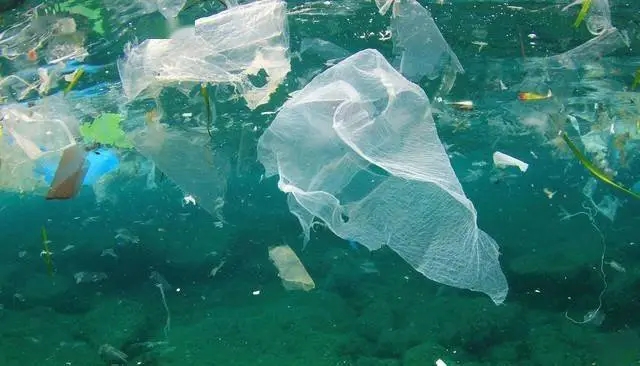 三菱化學(xué)推出生物降解購物袋，有苦味，防誤吞