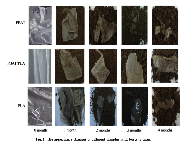 可降解塑料袋多久可以降解完？