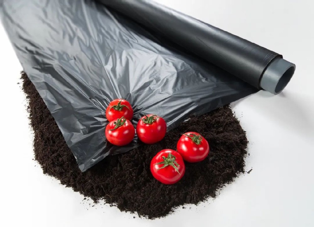 輕松GET生物降解知識