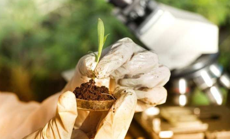 1685946333127041.png 和塑美科技