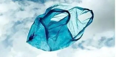 2029年，印尼全面禁用！