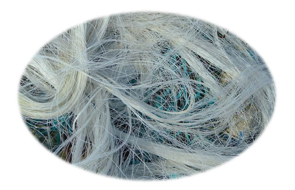 工信部等四部門印發(fā)紡織工業(yè)提質升級方案，加強聚乳酸纖維等關鍵技術突破，增強生物基等綠色紡織品認證