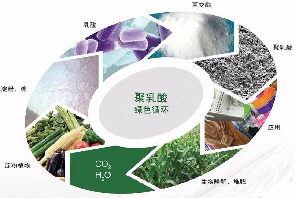 投資10億！浙江建設(shè)聚乳酸(PLA)濕巾等項(xiàng)目