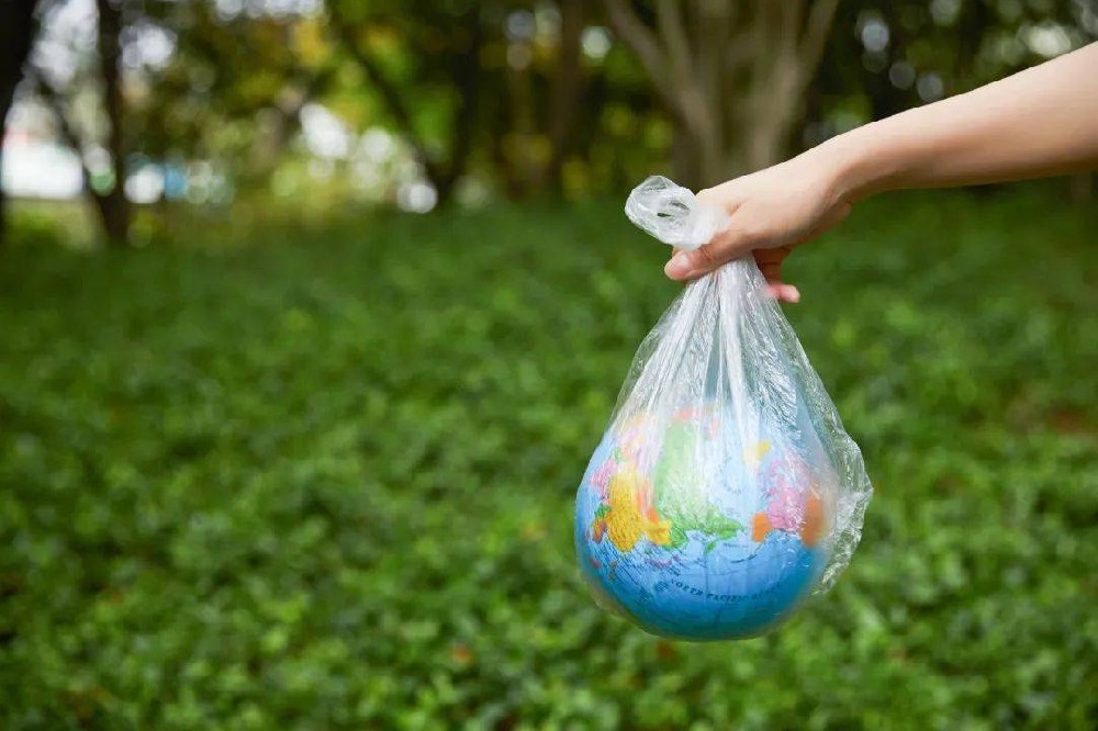 浙江：可降解塑料袋使用占比約73%，不再“非主流”