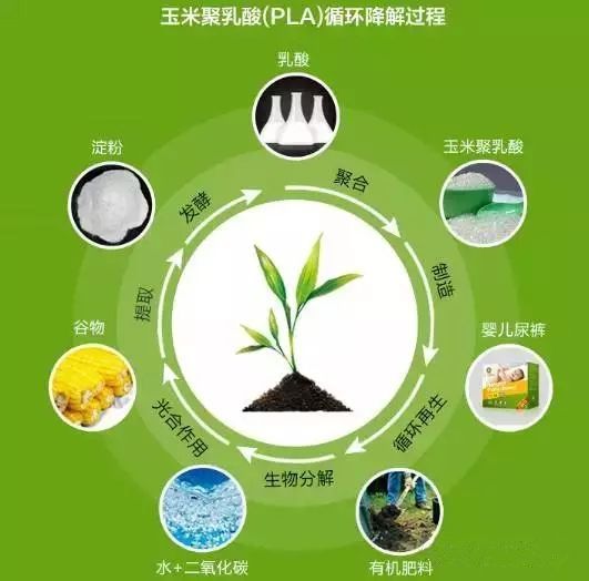 連PLA材質(zhì)都禁止？看看臺(tái)灣的禁塑措施
